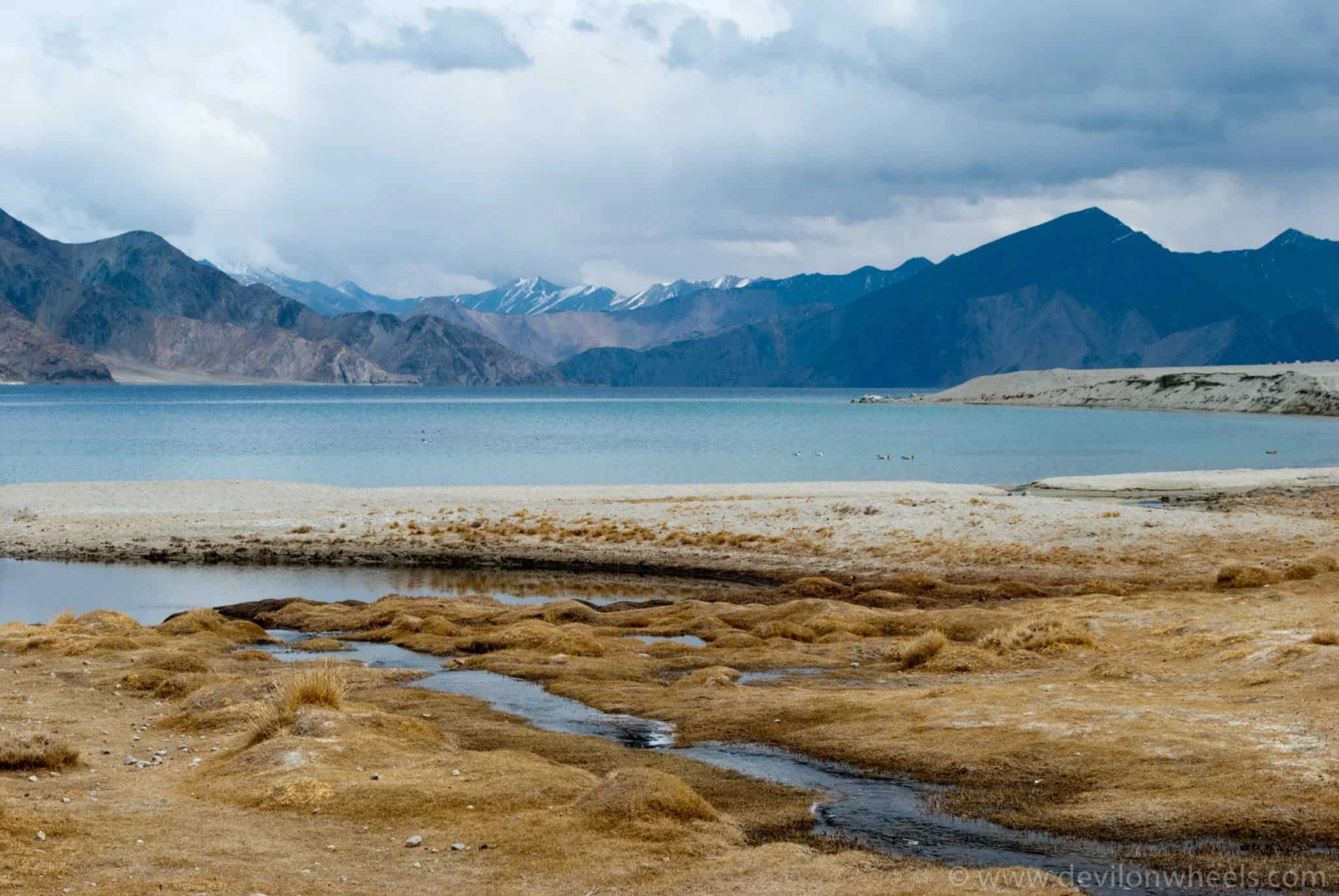 Pangong TSO