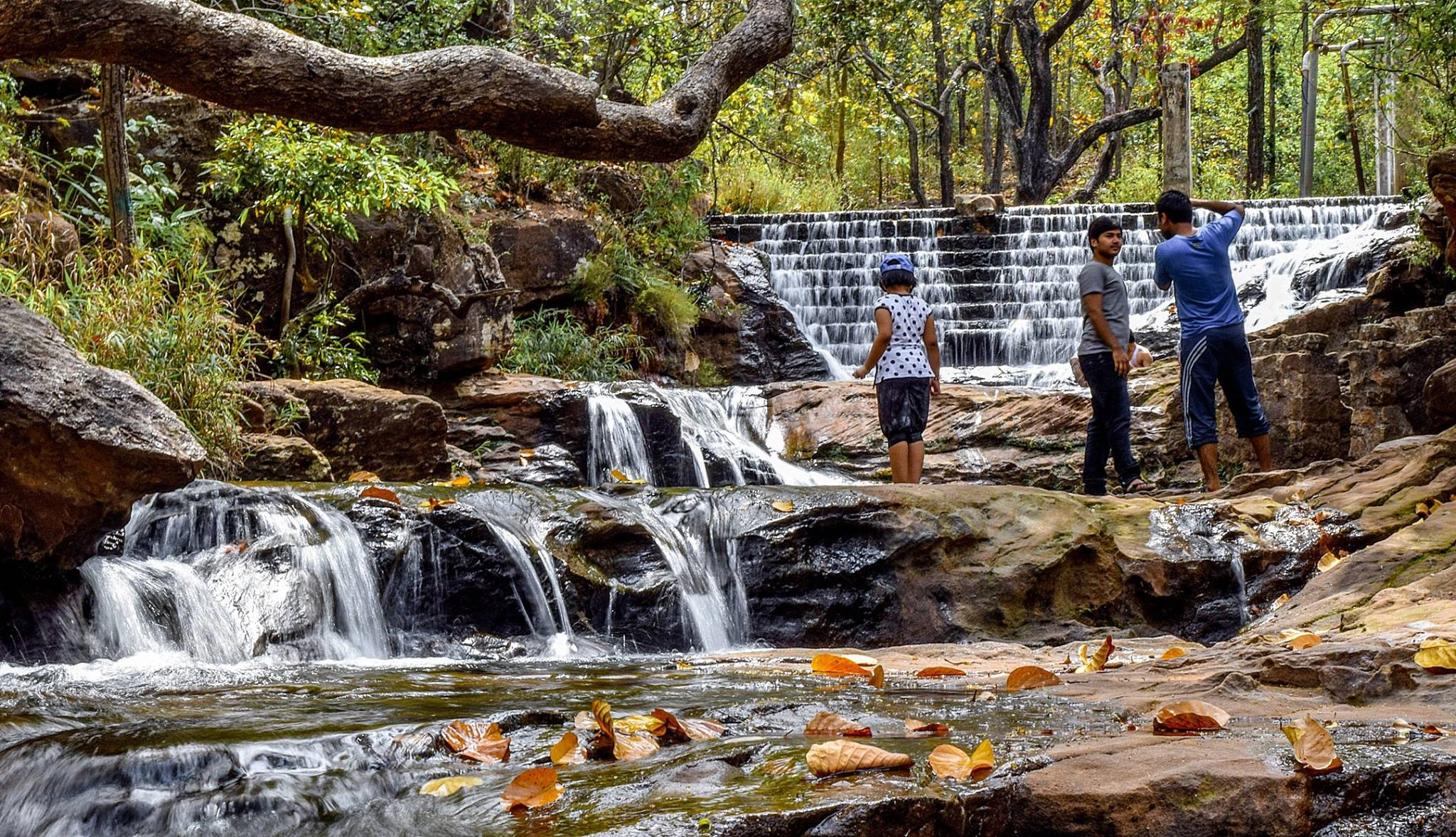 Bee  Falls