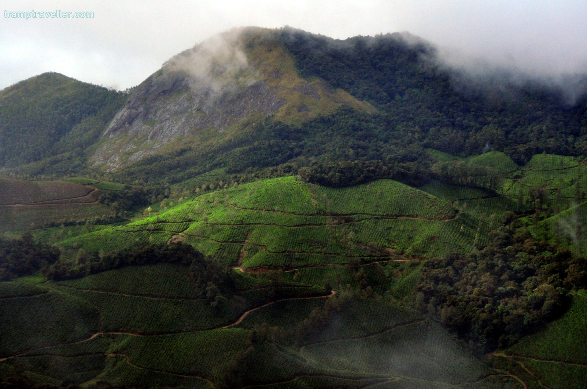  Rajamala (Eravikulam National Park)