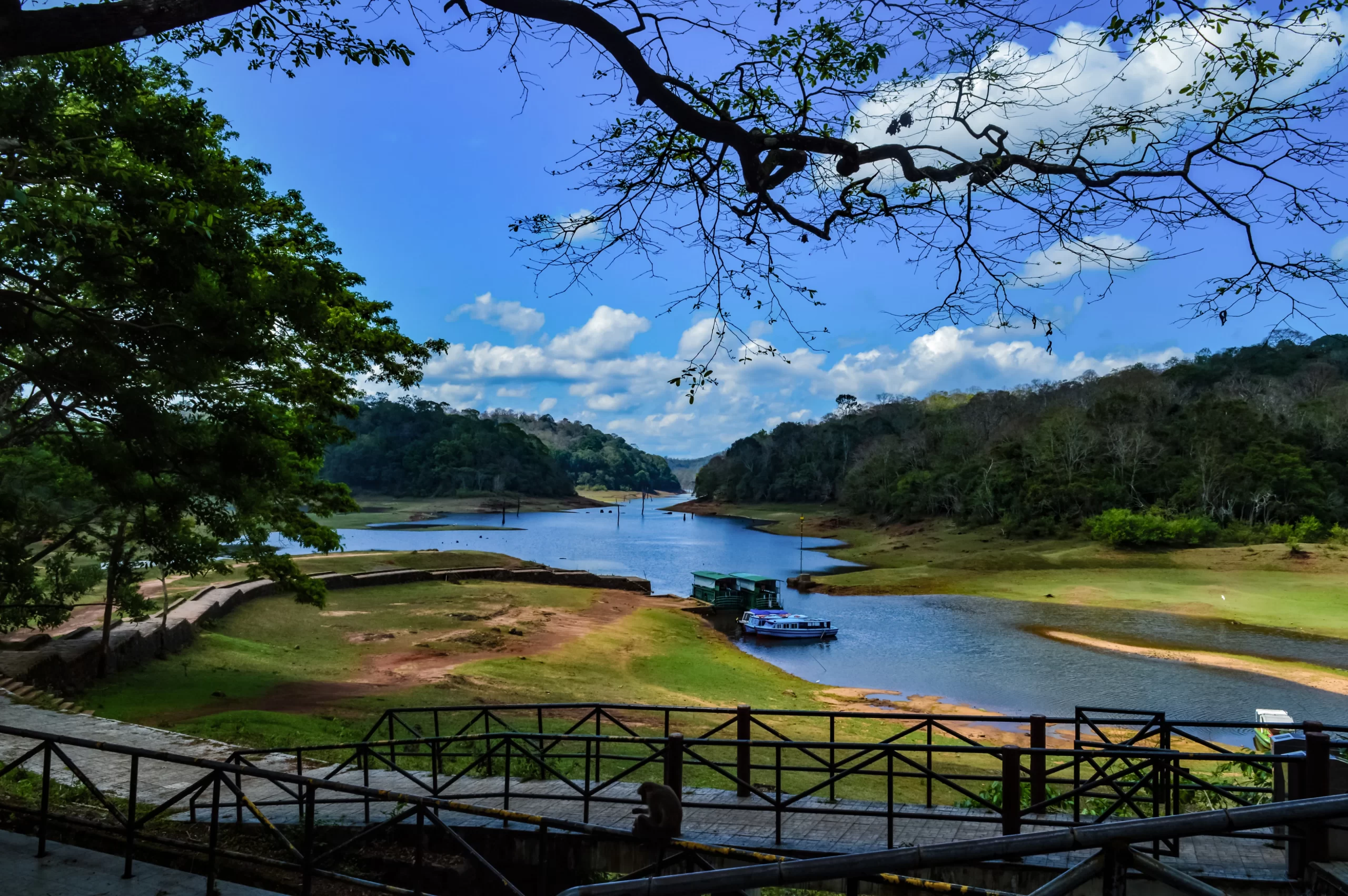 Sightseeing in Thekkady: Periyar Wild Life Sanctuary